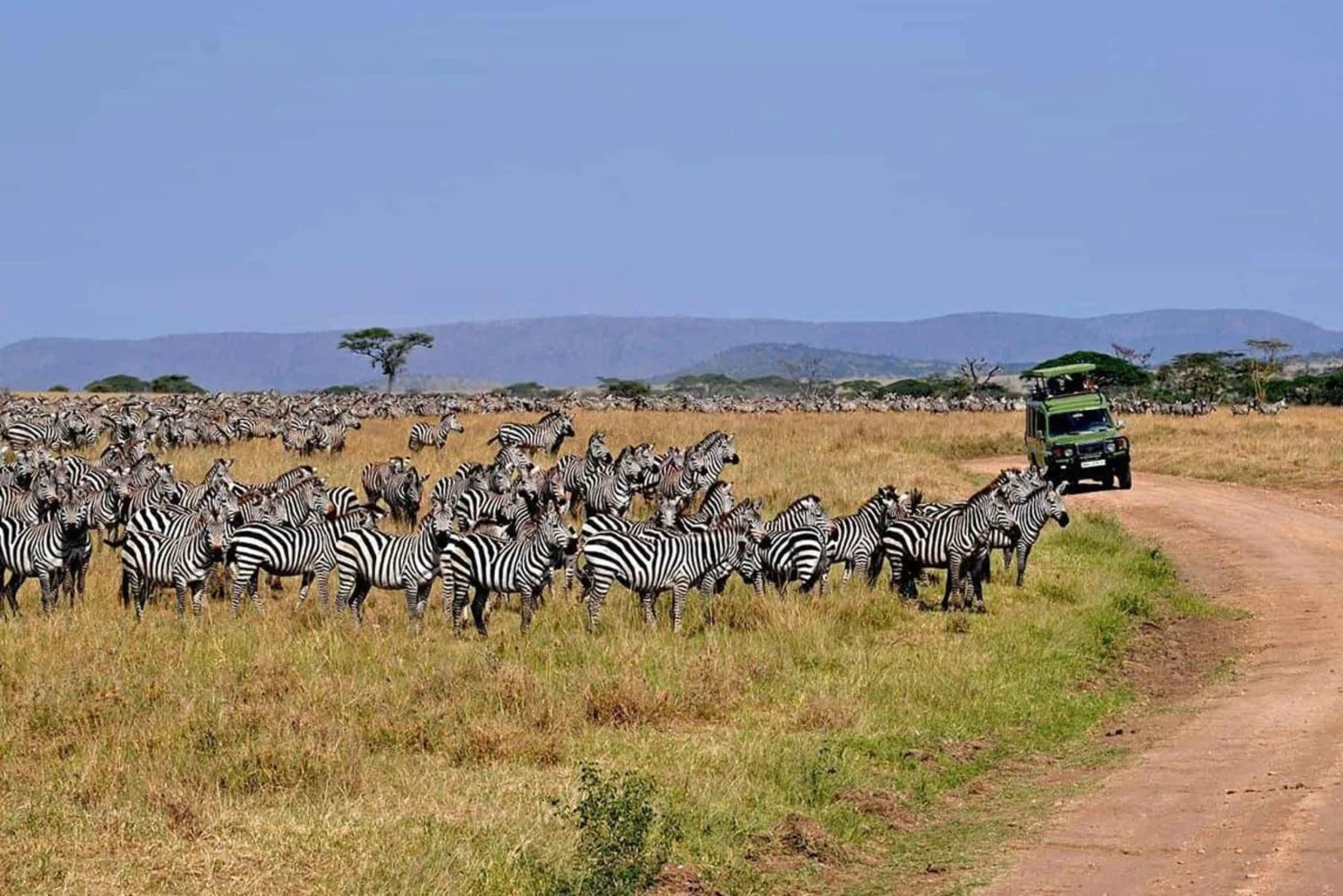 2-Day Mid-Range Lodge Safari to Tarangire and Ngorongoro