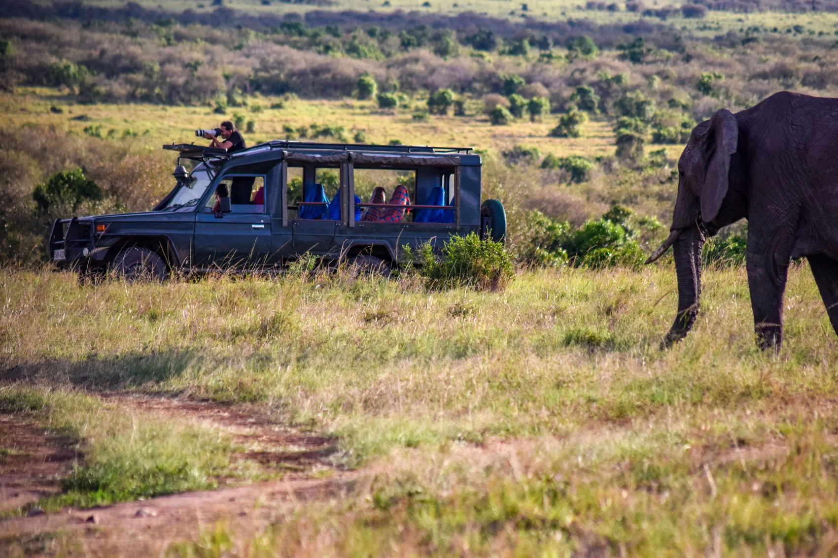 3-Day Unforgettable Safari