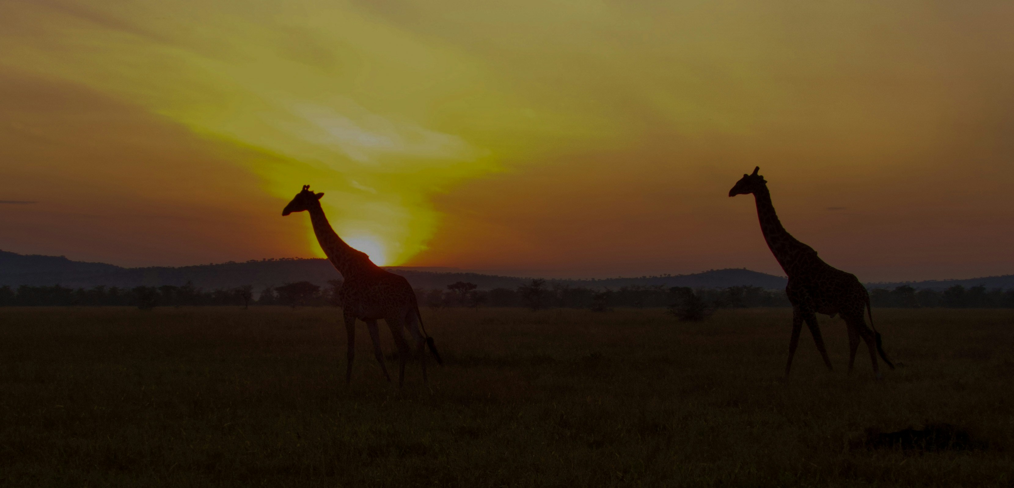 3-Day Safari Vacation in Africa