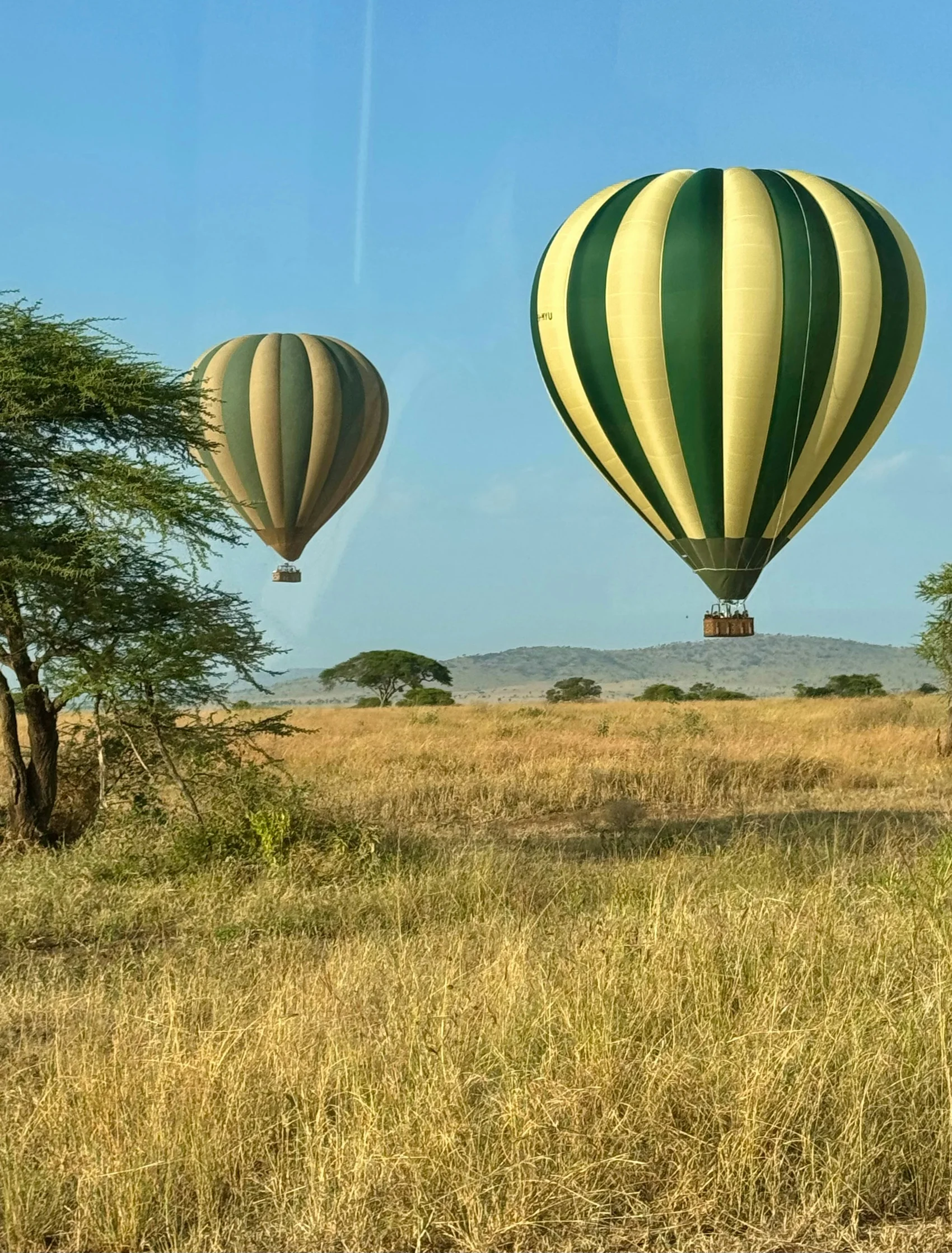 7-Day Luxury Serengeti Safari