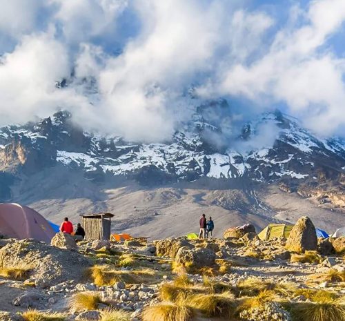 Senior-Friendly Safari