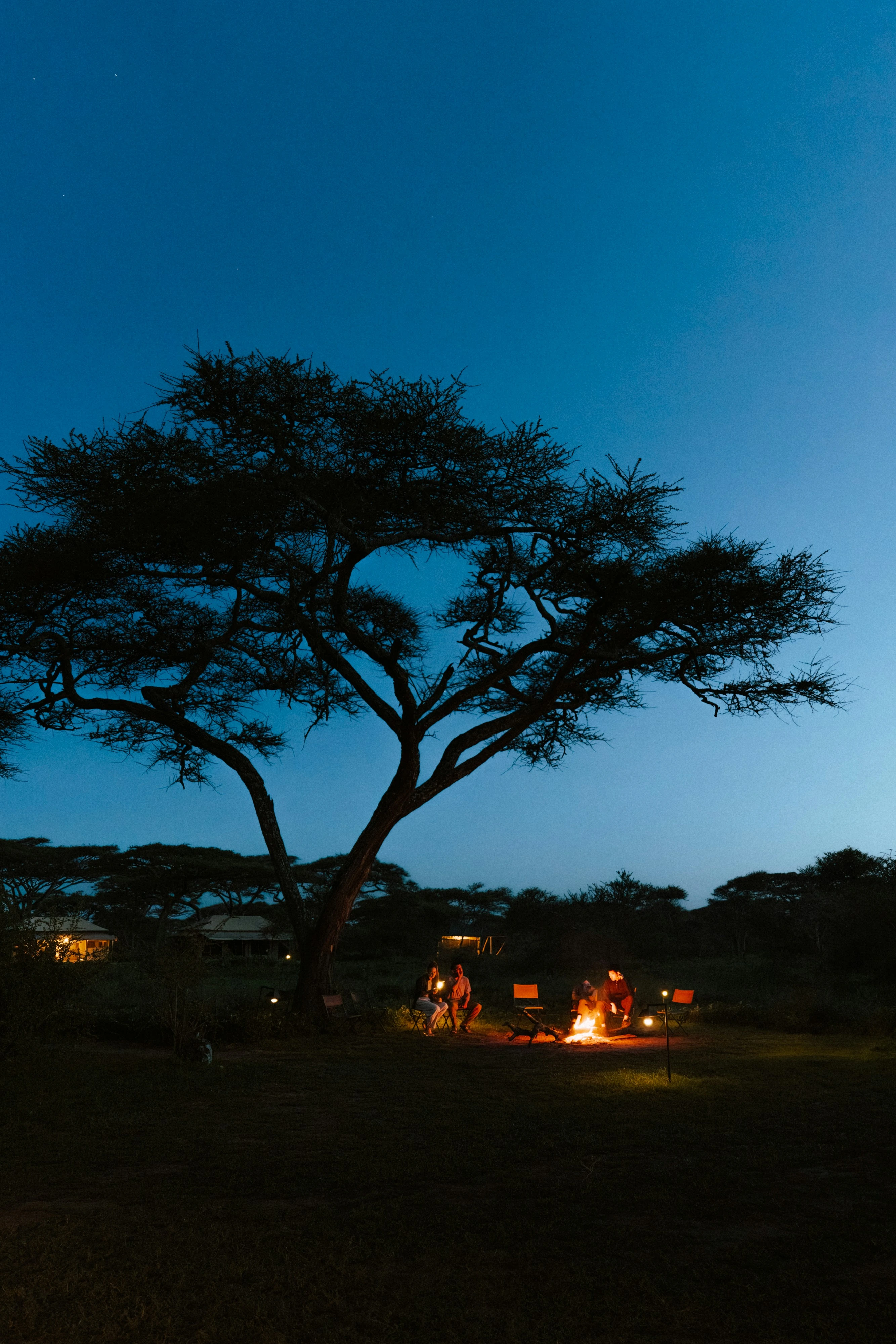 Budget Serengeti Camping