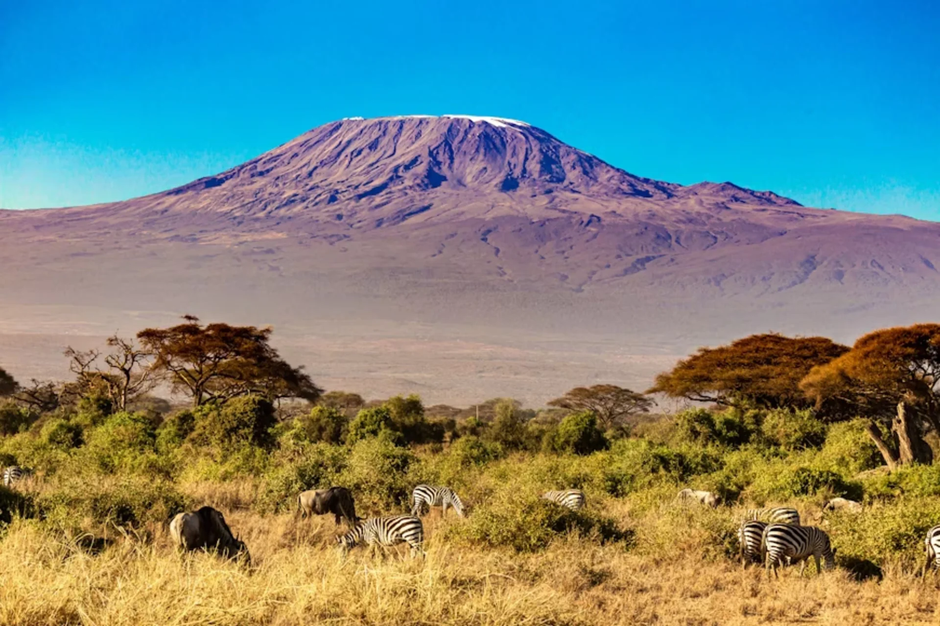Summit Kilimanjaro in Grandeur