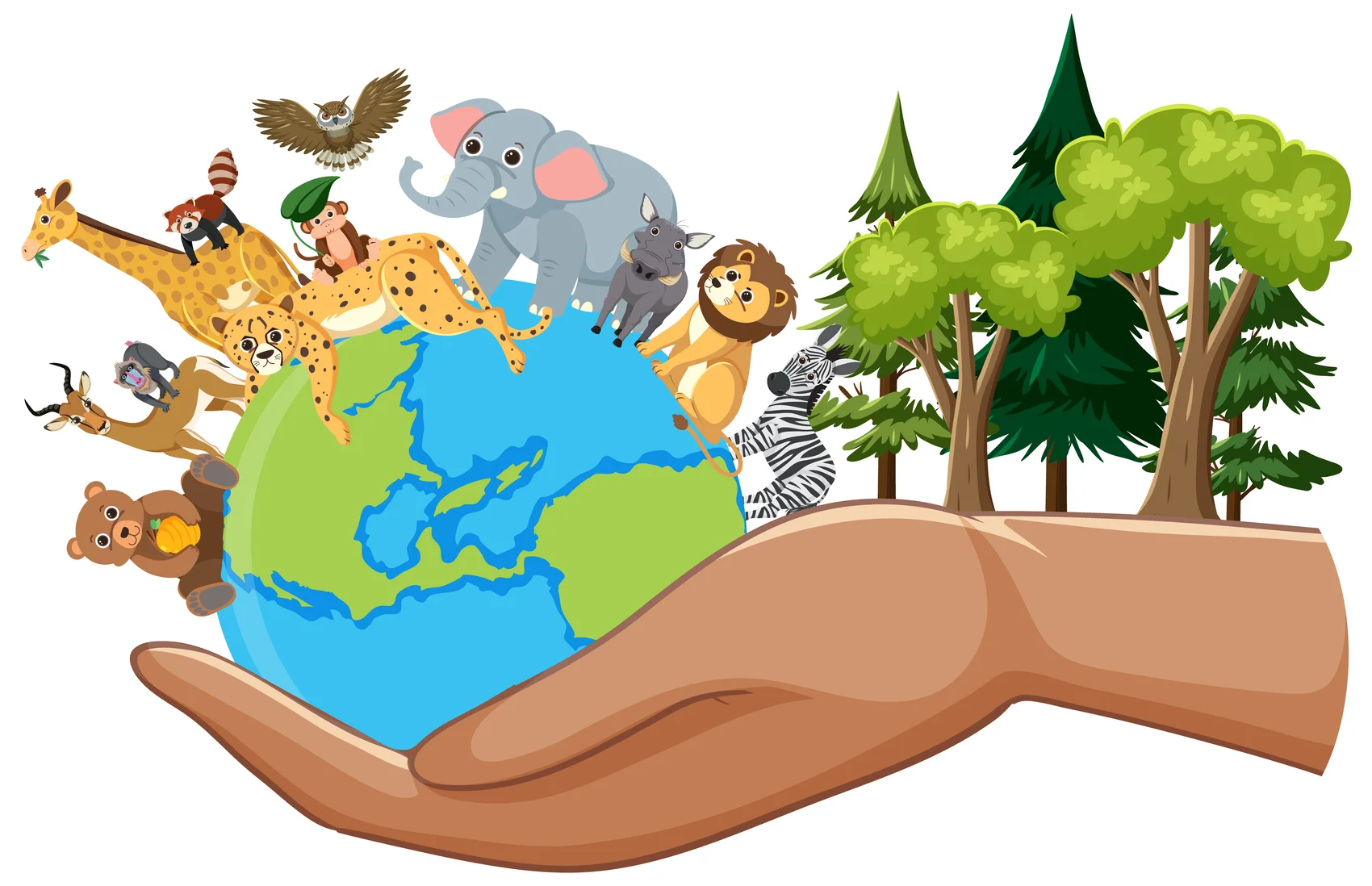 Sustainability & Volunteering