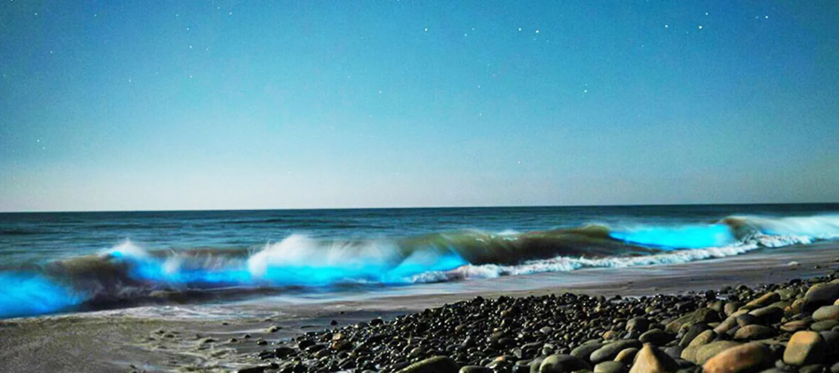 Bioluminescent Beach Walk Zanzibar